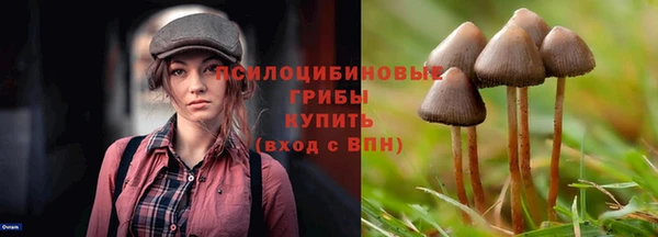 героин Каменногорск