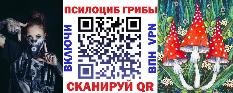 Купить  Зверево  Псилоцибиновые грибы Magic Shrooms 